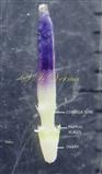  Floret-Young